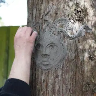 Clay face sculpted on tree Clay face sculpted on tree