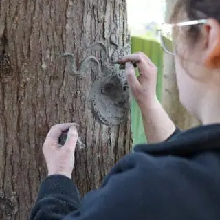 Sculipting faces on yrees Sculipting faces on yrees